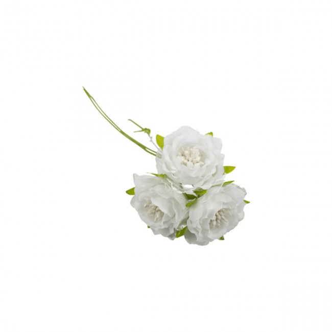 Fiore Pistilli Nebbiolina in confezione da 36 pezzi a 7.2 € per
